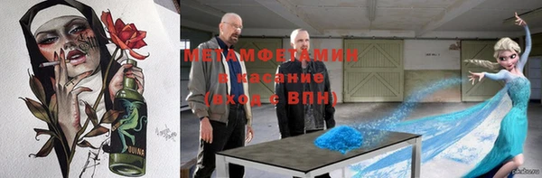 индика Вяземский